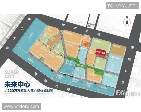 武汉乒乓球队状态对比深度解析与未来发展趋势探讨