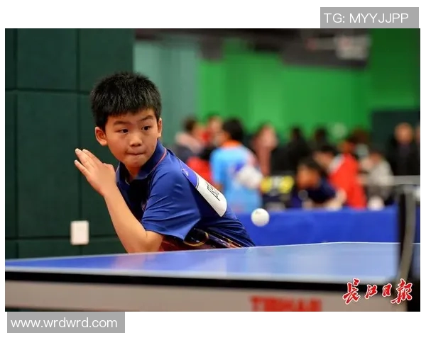 武汉乒乓球队实力飙升创造历史新高排名引发关注